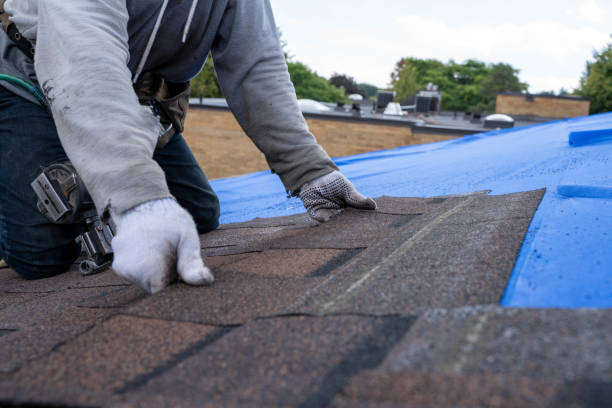 Quick and Trustworthy Emergency Roof Repair Services in Cherryvale, SC